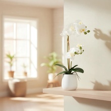 Gasper Gasper Umelá orchidea Phalaenopsis, 50 cm, biela