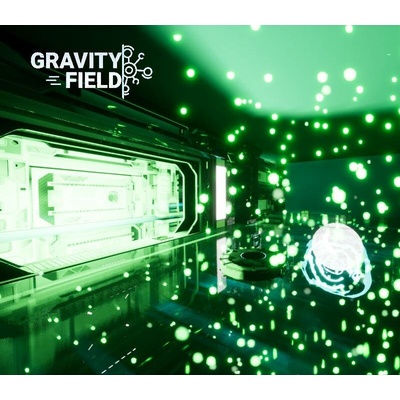 Gravity Field
