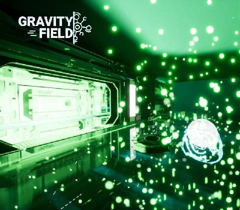 Gravity Field