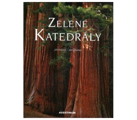Zelené katedrály
