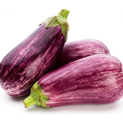 Okrasný lilek Tsakoniki Solanum melongena semena 10 ks