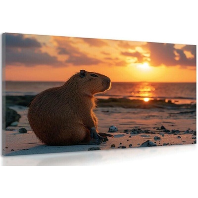 Obraz kapybara při západu slunce - 60x40