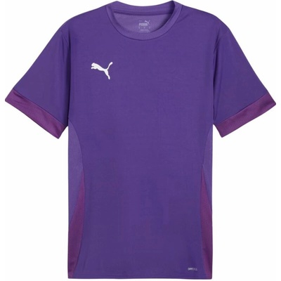 Puma teamGoal Matchday Jersey M 705747 10