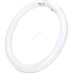 Aigostar Флуоресцентна тръба T9 G10q/32W/230V 6500K - Aigostar (AI1930)