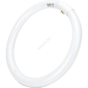 Aigostar Флуоресцентна тръба T9 G10q/32W/230V 6500K - Aigostar (AI1930)