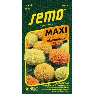 Semo Aksamitník vzpřímený - Taishan F1 15s - série Maxi