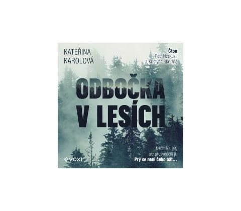 Odbočka v lesích