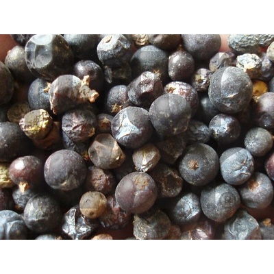 Bylinná lékárna Jalovec plod Juniperus comunis 500 g