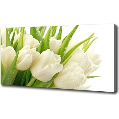 Foto obraz tlačený na plátne Biele tulipány 100x50 cm