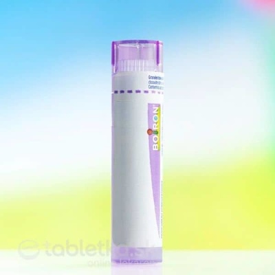 Magnesia Muriatica gra.1 x 4 g 30CH