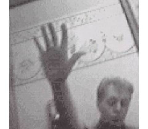 Paul McCartney Driving Rain