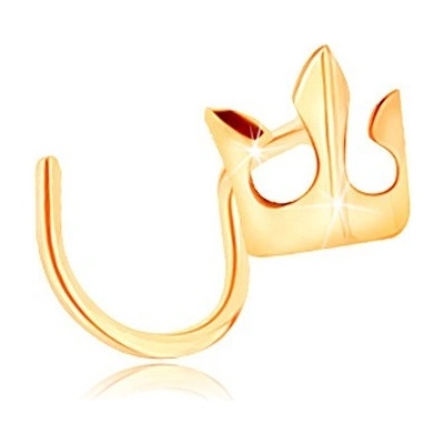 Šperky eshop piercing do nosu ze žlutého zlata malá blýskavá korunka GG140.18