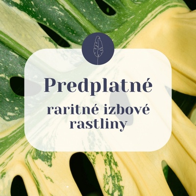 Predplatné - raritné izbové rastliny - 6 mesiacov