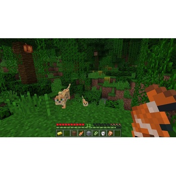 Minecraft