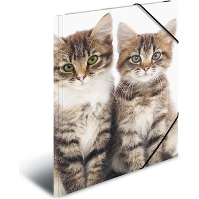 Doska s gumičkou PP A4 Cats