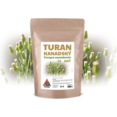VALKNUT Turan kanadský Conyza canadensis nať 250 g