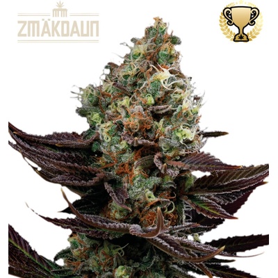 Seedstockers Superior Zmäkdaun semienka neobsahujú THC 25 ks