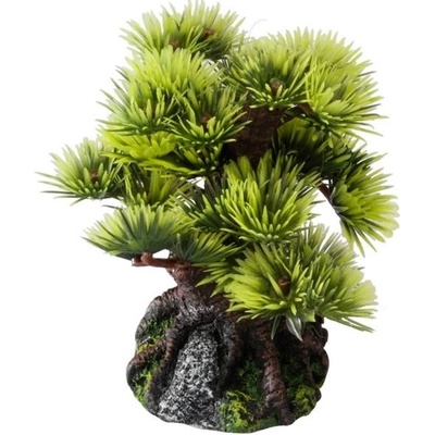 Duvo+ Bonsai borovice 9,5 cm