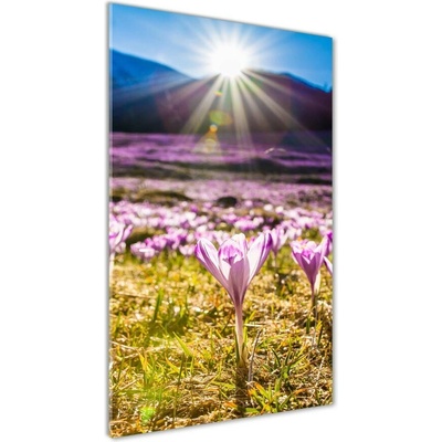 Vertikálny fotoobraz na skle Šafran v horách 50x100 cm