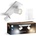 Philips P6208