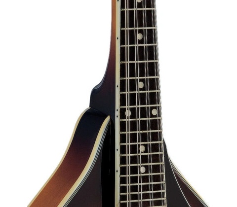 Stagg M40 S
