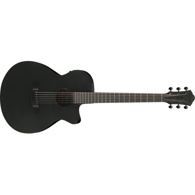 Ibanez AEG621-BOT