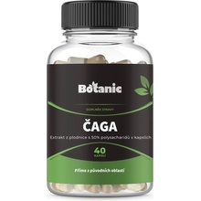 Botanic Čaga extrakt z plodnice s 50 % polysacharidov v kapsuliach 40 kapsúl
