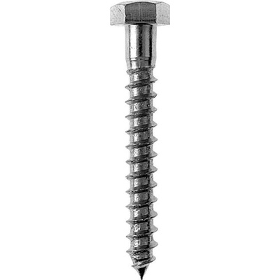 Profi Depot Skrutka do dreva DIN 571, ⌀ 10 × 50 mm, šesťhranná hlava, 100 ks 4024506249493