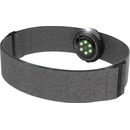 POLAR OH1