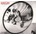 Rearviewmirror CD