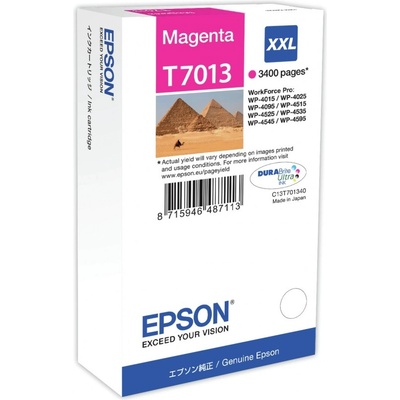 Epson Ink Cartridge XXL Magenta 3.4k (C13T70134010)