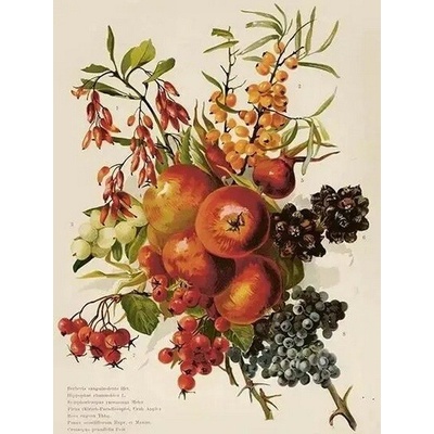 Přání Autumn bouquet