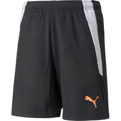 Puma teamLIGA Training Shorts 2 Jr 657668