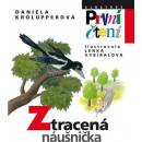 Ztracená náušnička