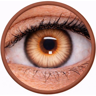 MaxVue barevné čočky Phantasee Nülook Misty Brown 2 čočky měsíční nedioptrické – Hledejceny.cz