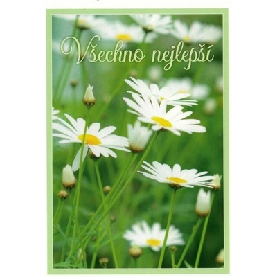 Pohlednice Všechno nejlepší