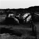 Amenra - Mass V