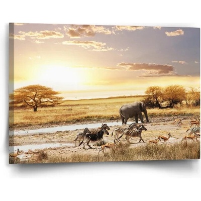 Sablio Obraz Safari - 90x60 cm