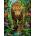 Castorland - Puzzle Leopard in the Wild - 2 000 piese