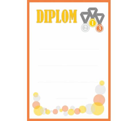 Diplom 13