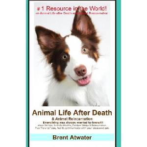 Animal Life After Death & Animal Reincarnation: Pet Loss Answers for all your heart's Questions! | Brent Atwater (2014)