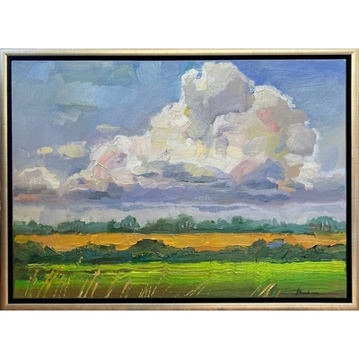 Mykola Bodnár, Žitný ostrov, II