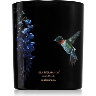 Vila Hermanos Jungletopia Hummingbird ароматна свещ 200 гр