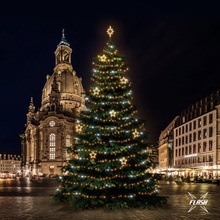 DECOLED LED svetelná sada na vianočné stromy vysoké 18-20 m, teplá biela s Flash, dekory 8EFD14W