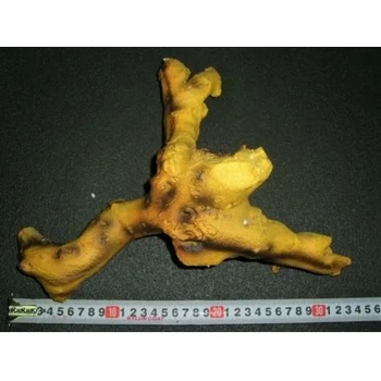 Image 1 of HAILEA - декорация за аквариум смола - корен R8818