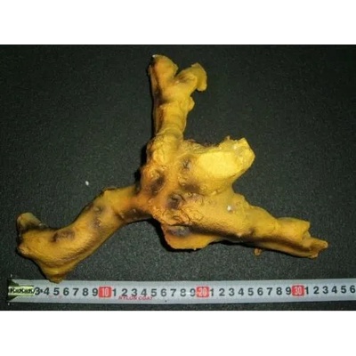 HAILEA - декорация за аквариум смола - корен R8818