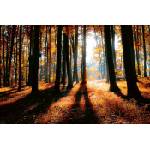 DIMEX ART Флизелинов фототапет цветна есенна гора 375 x 250 см
