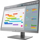 HP E243i 1FH49AA