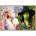 Ravensburger - Puzzle Wicked - 1 000 piese