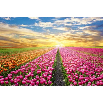 DIMEX ART s. r. o Флизелинов фототапет вълшебен пейзаж 375 x 250 см